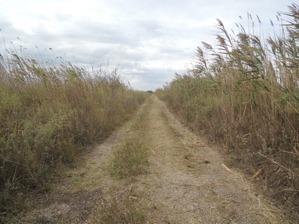 20120918 142634